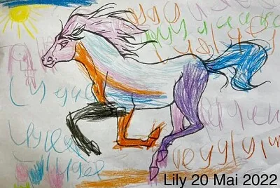 Le cheval a Lily
