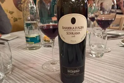vino
