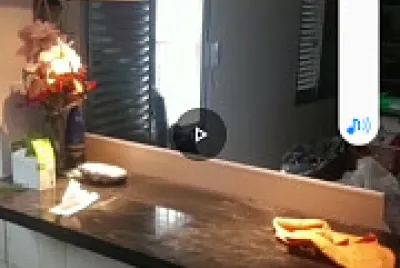 פאזל של moradia