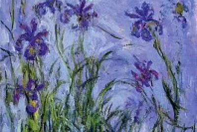 lilas jigsaw puzzle