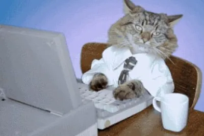 typing jigsaw puzzle