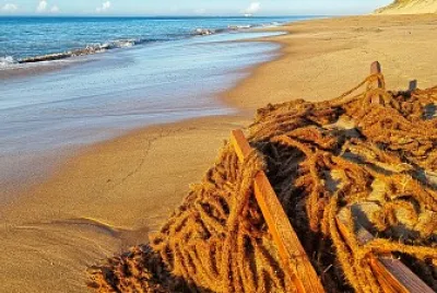 plage