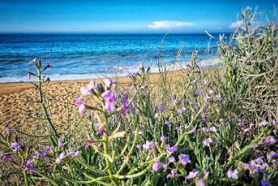 Plage