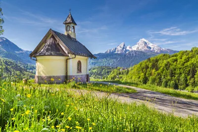 NATUREZA jigsaw puzzle