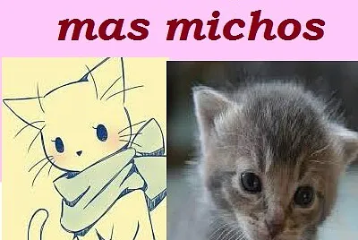foto xd?