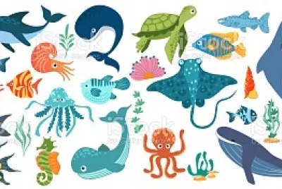 sea animals