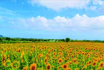 פאזל של 風景