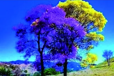 פאזל של 風景