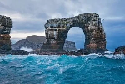 Darwin 's Arch