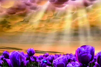 פאזל של 風景