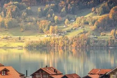 430 jigsaw puzzle