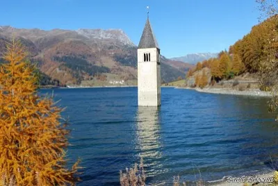 NATUREZA jigsaw puzzle