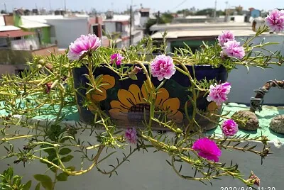 naturaleza