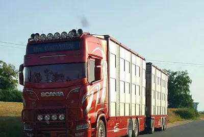 camion jigsaw puzzle