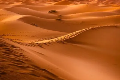 Desierto0