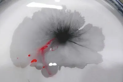 Not a flower, just some paint