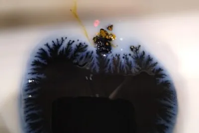 Fractals, or tiny little trees maybe