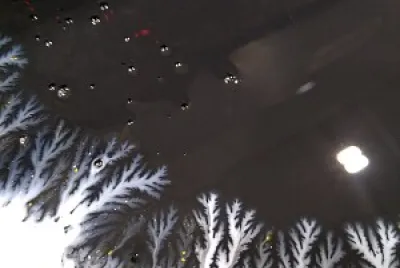 Like snowy trees