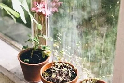 ventana