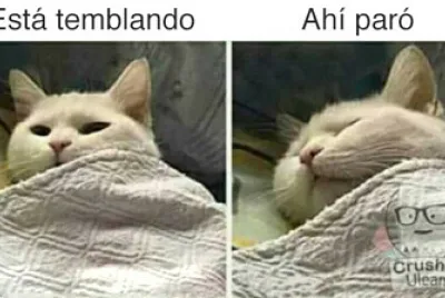 JEJE
