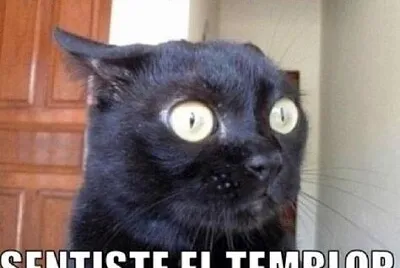 ROMPE CABEZAS