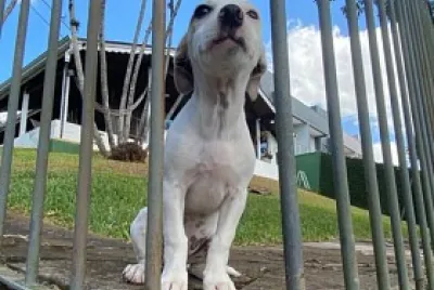 IMAGEM
