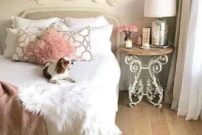 perro