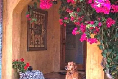 perro