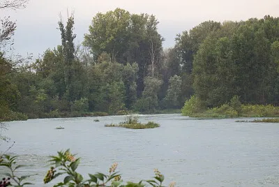 il fiume scompare nel bosco