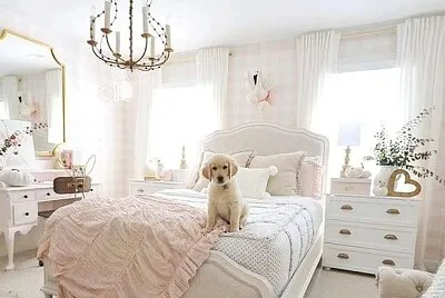 perro