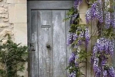 puerta