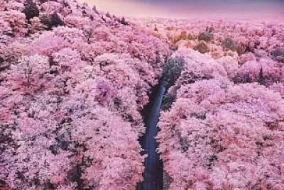 Fuji