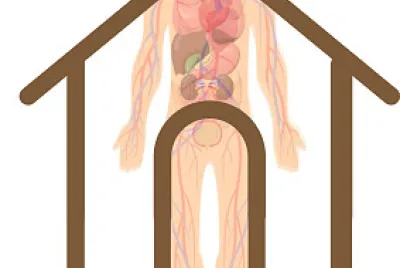 Jesus, cabeza de la Iglesia