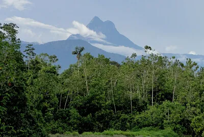 Nature jigsaw puzzle
