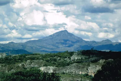 Nature jigsaw puzzle