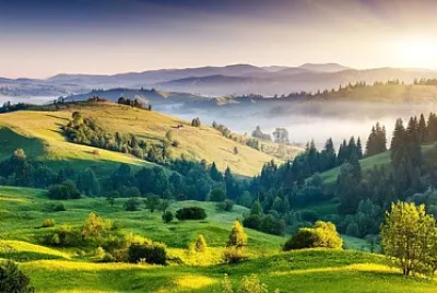 פאזל של Nature