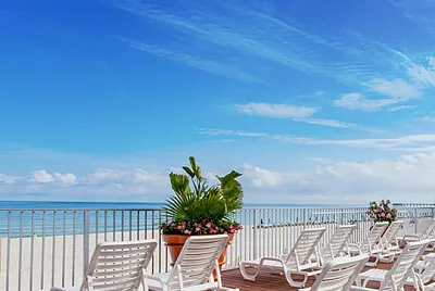 פאזל של imagem