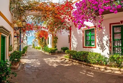 פאזל של imagem