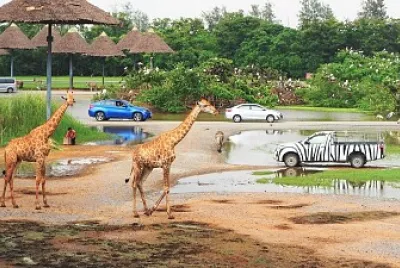 פאזל של imagem