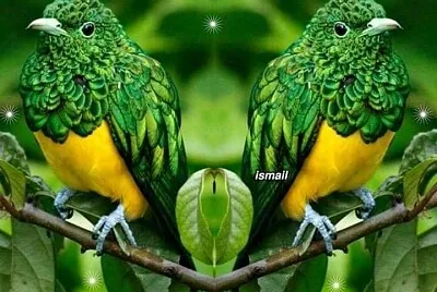 פאזל של imagem