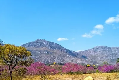 פאזל של imagem