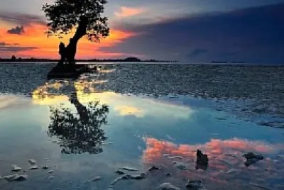 פאזל של Atardecer ❤️