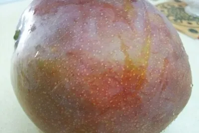 פאזל של mango
