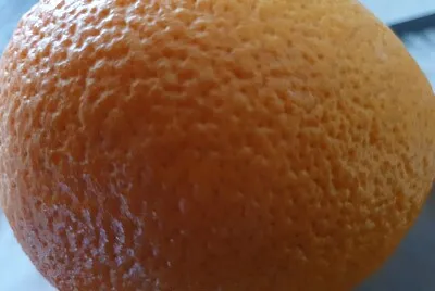 פאזל של orange