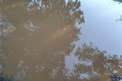 פאזל של Prospectus from a puddle