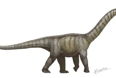 פאזל של dinos diego