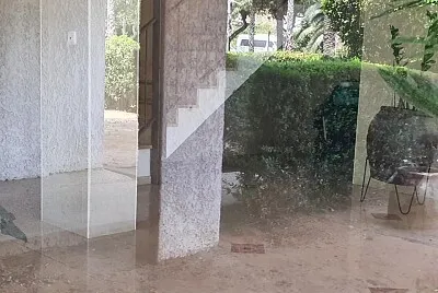 פאזל של prospectus