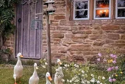 פאזל של animales