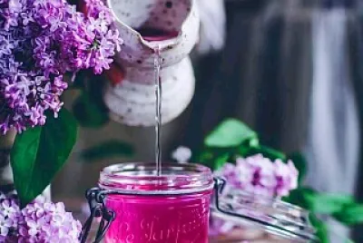 alimentos jigsaw puzzle