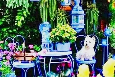 perro jigsaw puzzle